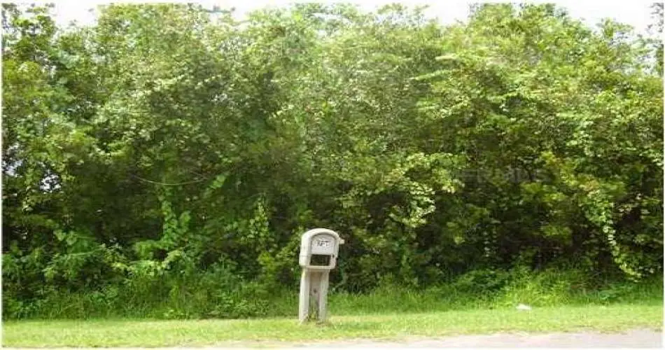 Pico Rivera, Los Angeles, California 90662, ,Vacant land,For sale,S4702426