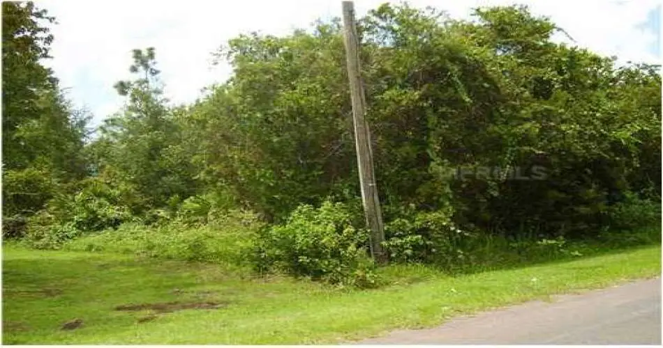 Pico Rivera, Los Angeles, California 90662, ,Vacant land,For sale,S4702426