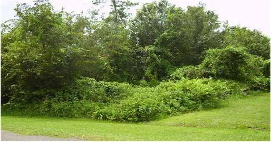 Pico Rivera, Los Angeles, California 90662, ,Vacant land,For sale,S4702426