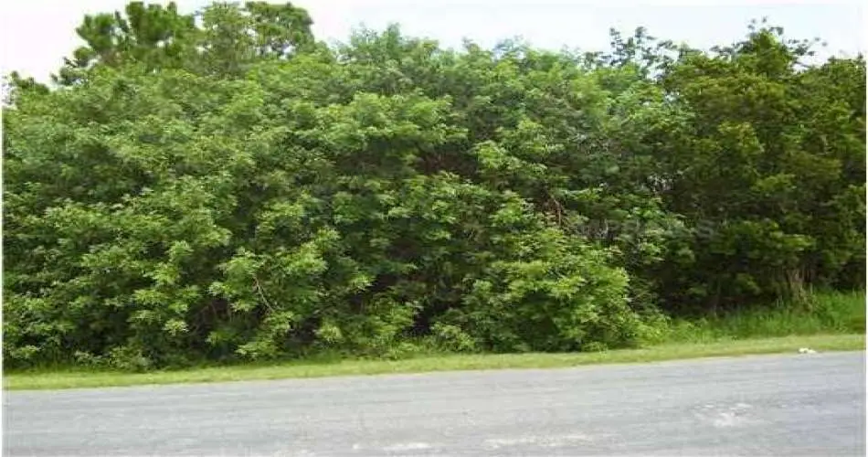 Realtyna, Torrance, Los Angeles, California 90508, ,Vacant land,For sale,S4702429