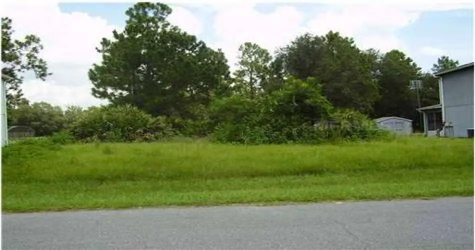 Mount Wilson, Los Angeles, California 91023, ,Vacant land,For sale,S4702480