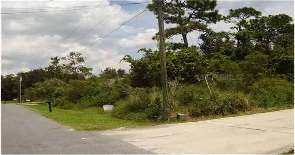 Realtyna, Long Beach, Los Angeles, California 90842, ,Vacant land,For sale,S4702485