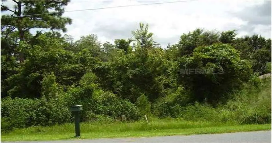 Realtyna, Long Beach, Los Angeles, California 90842, ,Vacant land,For sale,S4702485