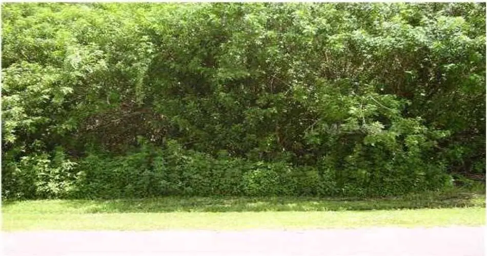 Realtyna, Inglewood, Los Angeles, California 90397, ,Vacant land,For sale,S4702488