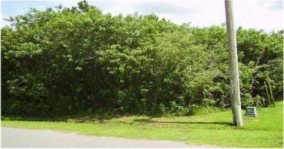 Realtyna, Inglewood, Los Angeles, California 90397, ,Vacant land,For sale,S4702488