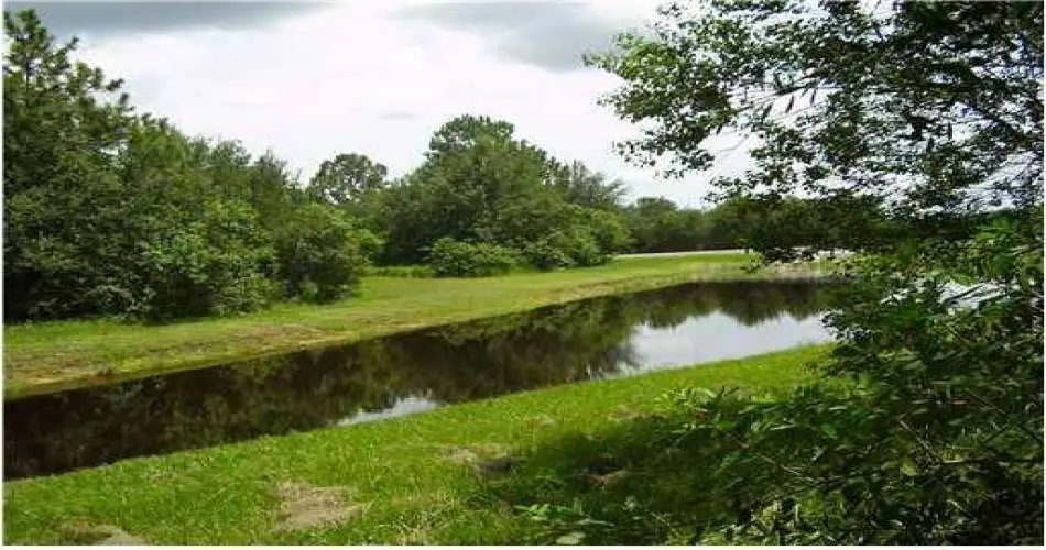 Realtyna, Inglewood, Los Angeles, California 90397, ,Vacant land,For sale,S4702488