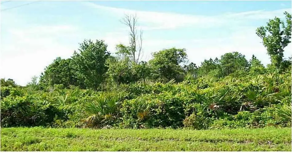 4105 E Colorado St, Long Beach, Los Angeles, California 90814, ,Vacant land,For sale,E Colorado St,S4717175