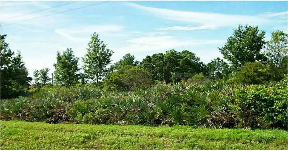 4105 E Colorado St, Long Beach, Los Angeles, California 90814, ,Vacant land,For sale,E Colorado St,S4717175