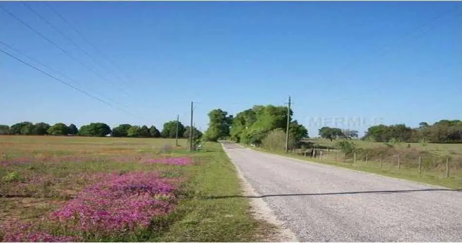 Sunland, Los Angeles, California 91041, ,Vacant land,For sale,T2452566