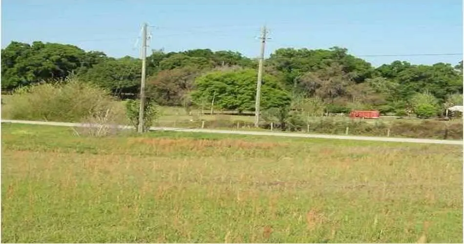 Sunland, Los Angeles, California 91041, ,Vacant land,For sale,T2452566