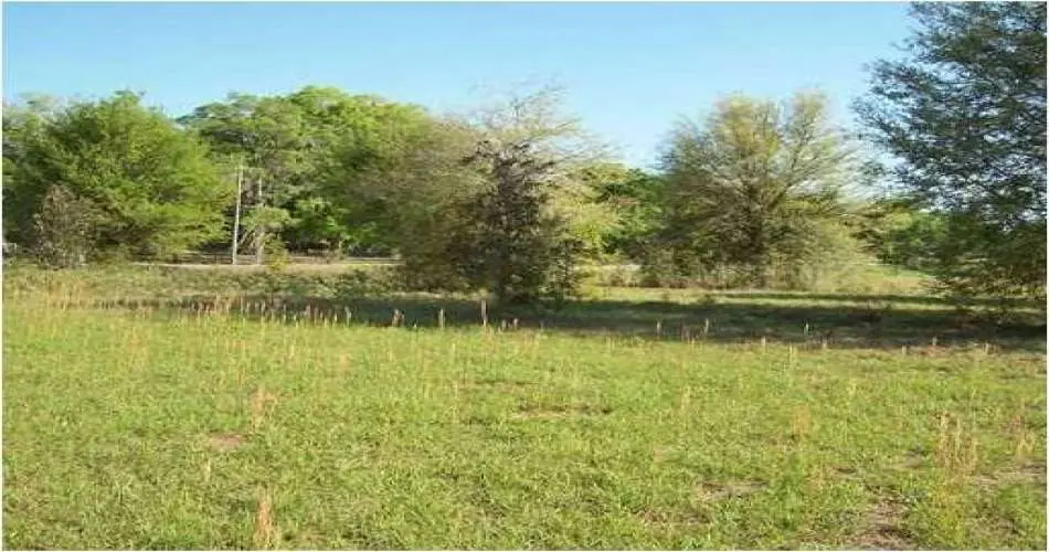 Sunland, Los Angeles, California 91041, ,Vacant land,For sale,T2452566