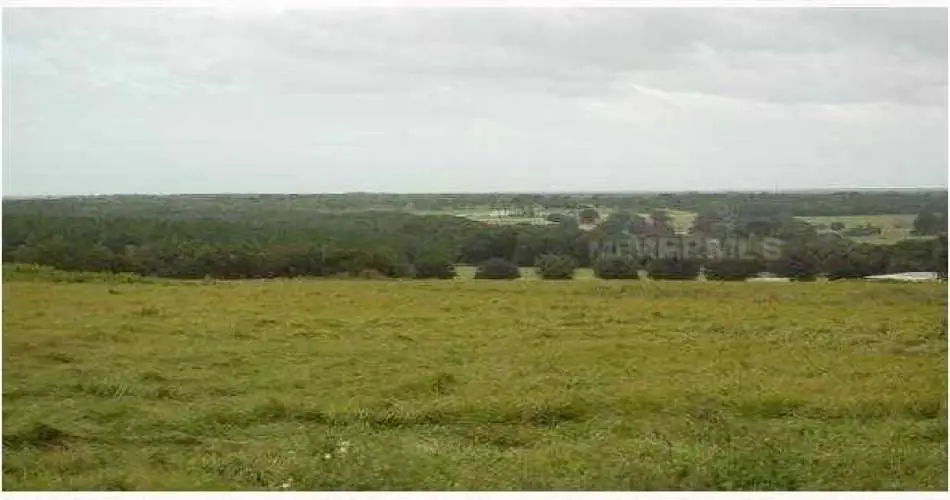 Long Beach, Los Angeles, California 90848, ,Vacant land,For sale,T2471013