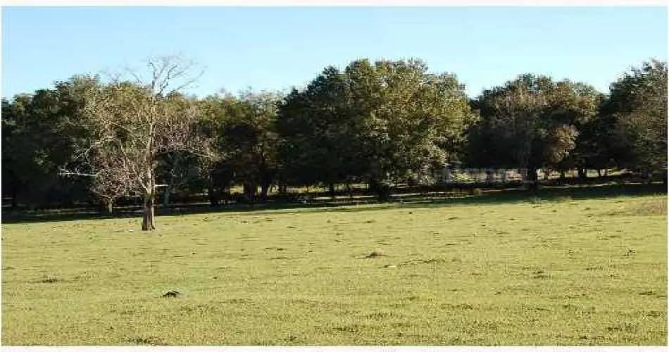 414 Riverdale Dr, Glendale, Los Angeles, California 91204, ,Vacant land,For sale,Riverdale Dr,T2471020