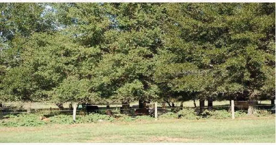 414 Riverdale Dr, Glendale, Los Angeles, California 91204, ,Vacant land,For sale,Riverdale Dr,T2471020