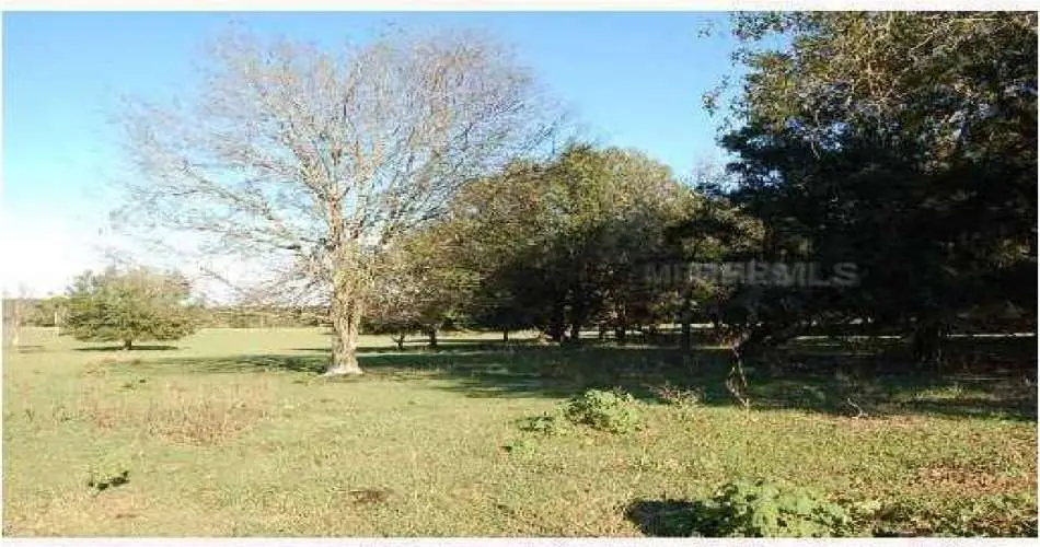 414 Riverdale Dr, Glendale, Los Angeles, California 91204, ,Vacant land,For sale,Riverdale Dr,T2471020