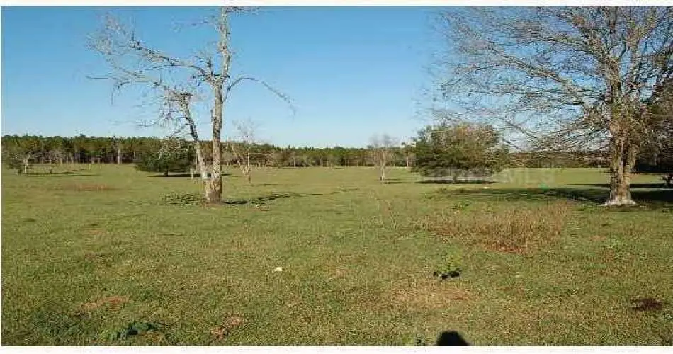 414 Riverdale Dr, Glendale, Los Angeles, California 91204, ,Vacant land,For sale,Riverdale Dr,T2471020