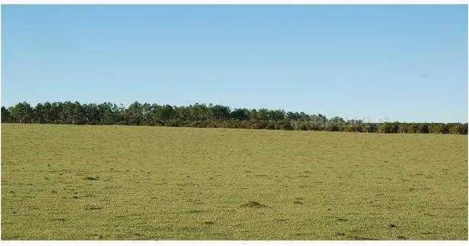 Canoga Park, Los Angeles, California 91305, ,Vacant land,For sale,T2471584