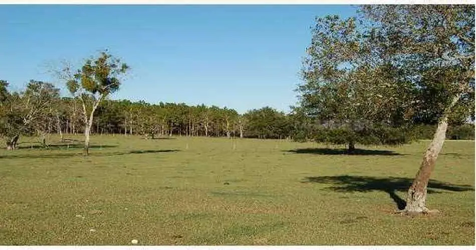 Glendale, Los Angeles, California 91221, ,Vacant land,For sale,T2471586