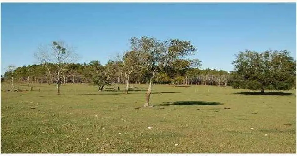 Glendale, Los Angeles, California 91221, ,Vacant land,For sale,T2471586