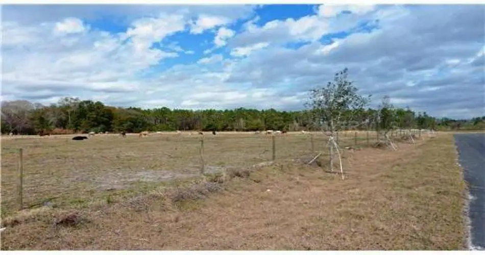 Los Angeles, Los Angeles, California 90079, ,Vacant land,For sale,T2472589