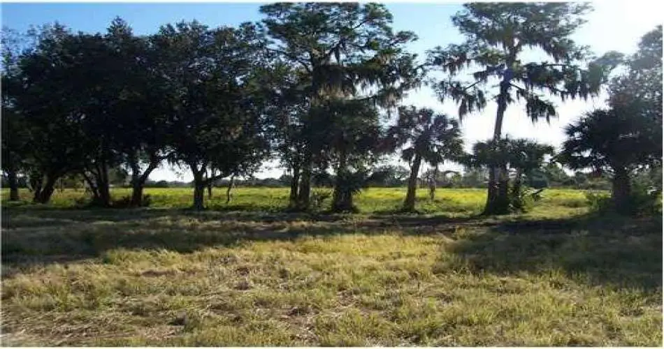 Northridge, Los Angeles, California 91330, ,Vacant land,For sale,T2488014