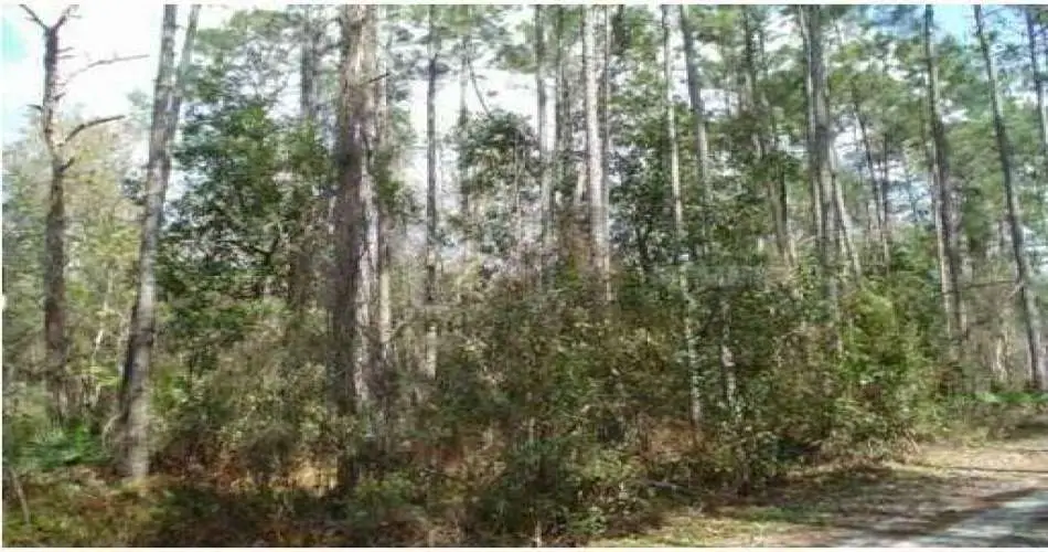 9032 Rathburn Ave, Northridge, Los Angeles, California, United States 91325, ,Vacant land,For sale,Rathburn Ave,T2505952