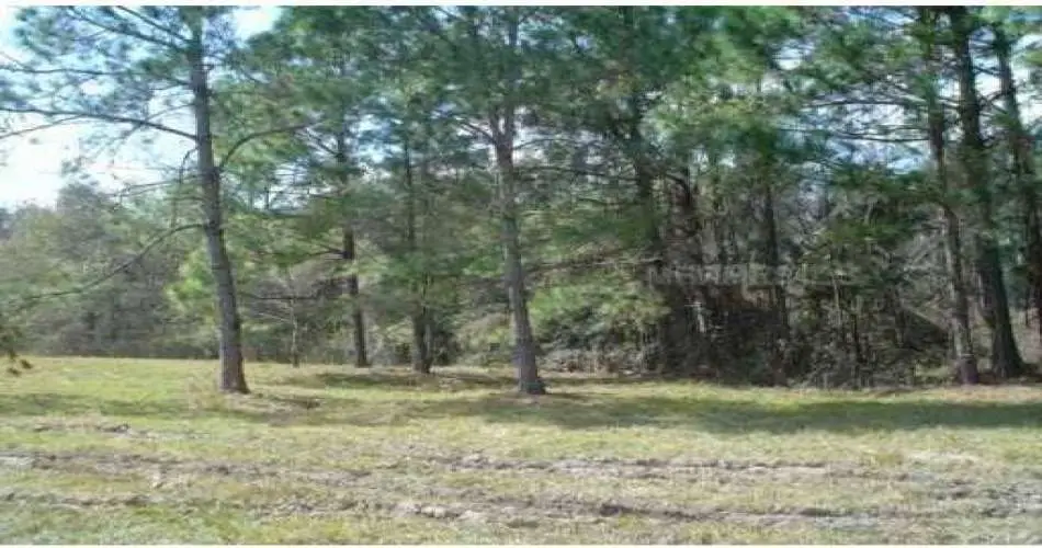 9032 Rathburn Ave, Northridge, Los Angeles, California, United States 91325, ,Vacant land,For sale,Rathburn Ave,T2505952