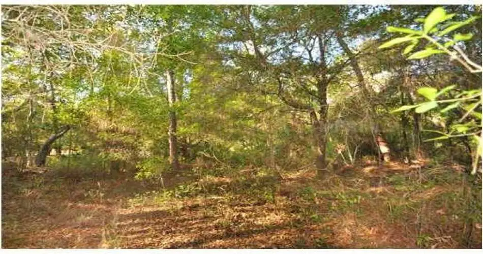 Realtyna, Pasadena, Los Angeles, California, United States 91131, ,Vacant land,For sale,T2510042