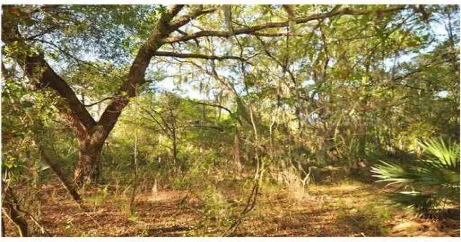 Realtyna, Pasadena, Los Angeles, California, United States 91131, ,Vacant land,For sale,T2510042