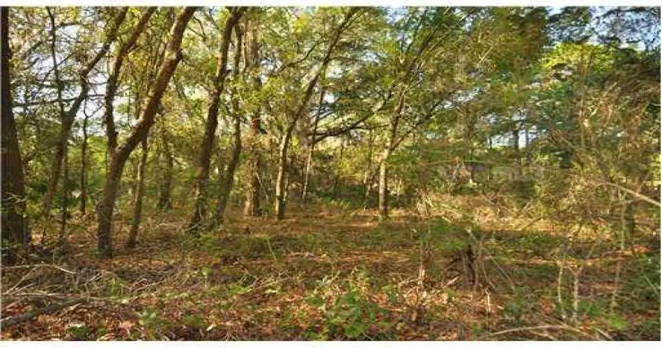 Realtyna, Pasadena, Los Angeles, California, United States 91131, ,Vacant land,For sale,T2510042