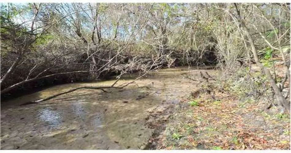 Realtyna, Pasadena, Los Angeles, California, United States 91131, ,Vacant land,For sale,T2510042