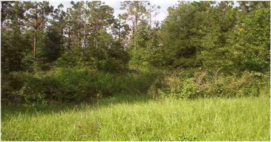 7019 Alabama Ave, Canoga Park, Los Angeles, California 91303, ,Vacant land,For sale,Alabama Ave,T2519520