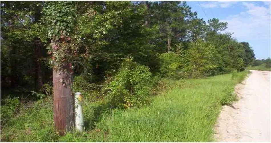 7019 Alabama Ave, Canoga Park, Los Angeles, California 91303, ,Vacant land,For sale,Alabama Ave,T2519520