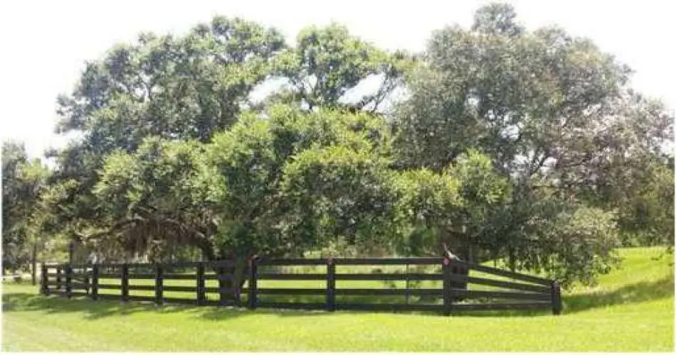 Northridge, Los Angeles, California, United States 91328, 2 Bedrooms Bedrooms, 1 Room Rooms,1 BathroomBathrooms,Vacant land,For sale,T2526624