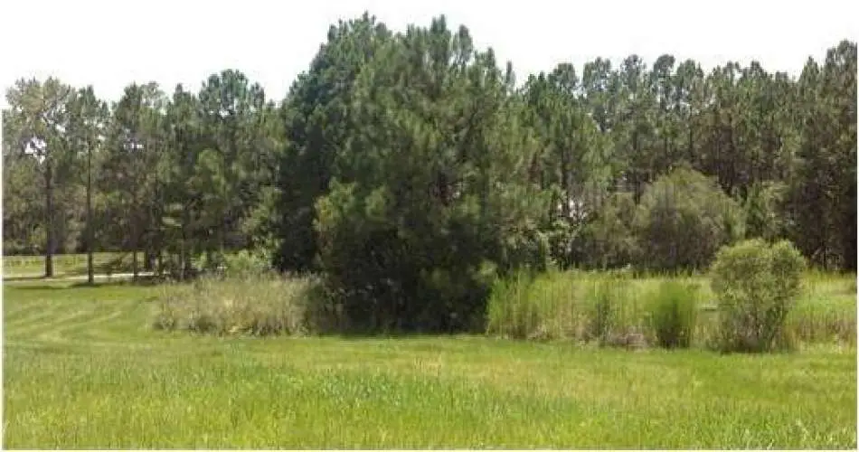 Northridge, Los Angeles, California, United States 91328, 2 Bedrooms Bedrooms, 1 Room Rooms,1 BathroomBathrooms,Vacant land,For sale,T2526624