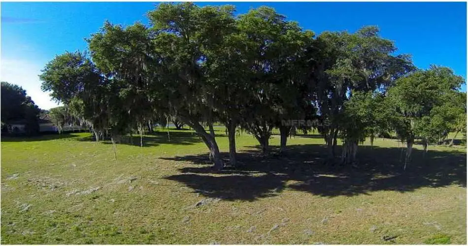 Pasadena, Los Angeles, California, United States 91184, 3 Bedrooms Bedrooms, 4 Rooms Rooms,2 BathroomsBathrooms,Vacant land,For sale,T2528049