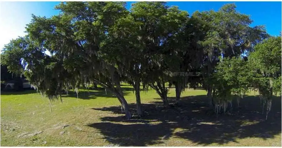 Pasadena, Los Angeles, California, United States 91184, 3 Bedrooms Bedrooms, 4 Rooms Rooms,2 BathroomsBathrooms,Vacant land,For sale,T2528049