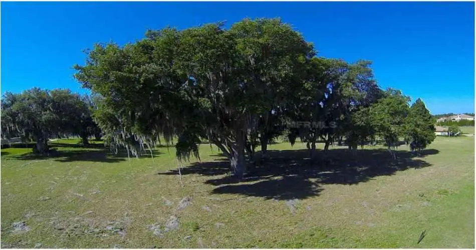 Pasadena, Los Angeles, California, United States 91184, 3 Bedrooms Bedrooms, 4 Rooms Rooms,2 BathroomsBathrooms,Vacant land,For sale,T2528049