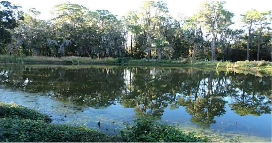 Pasadena, Los Angeles, California, United States 91116, 3 Bedrooms Bedrooms, 4 Rooms Rooms,1 BathroomBathrooms,Vacant land,For sale,T2544106