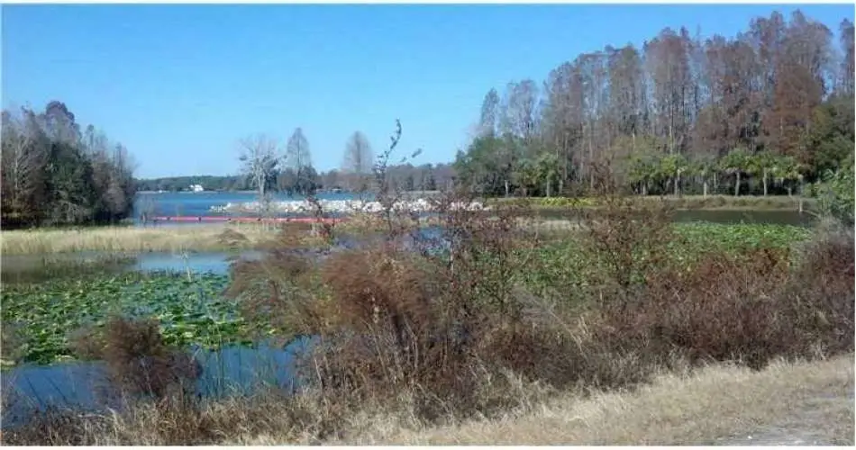 Glendale, Los Angeles, California, United States 91210, ,Vacant land,For sale,T2563094