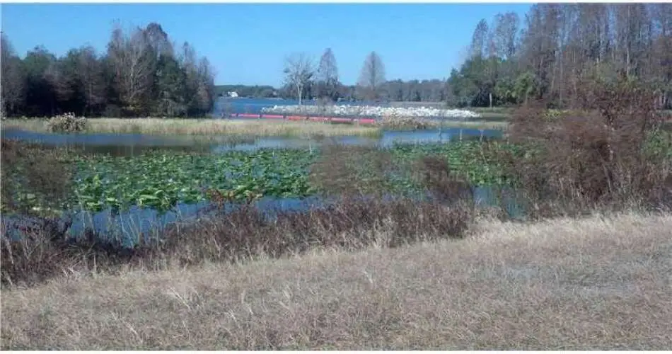 Glendale, Los Angeles, California, United States 91210, ,Vacant land,For sale,T2563094