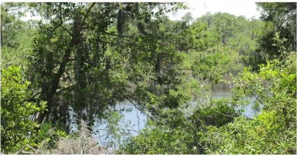 Realtyna, Chatsworth, Los Angeles, California, United States 91313, ,Vacant land,For sale,T2566797