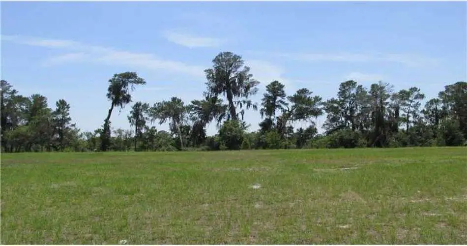 Realtyna, Pasadena, Los Angeles, California, United States 91182, ,Vacant land,For sale,T2566812