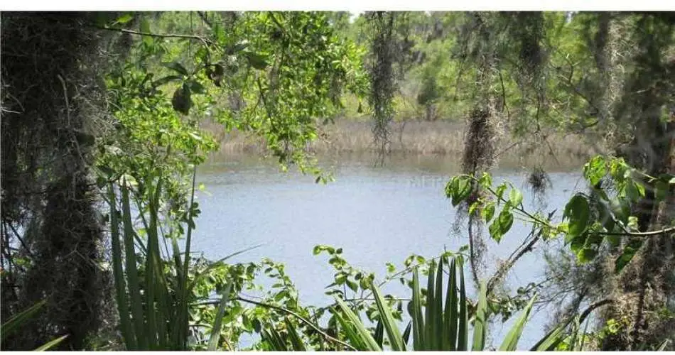 Realtyna, Pasadena, Los Angeles, California, United States 91182, ,Vacant land,For sale,T2566812