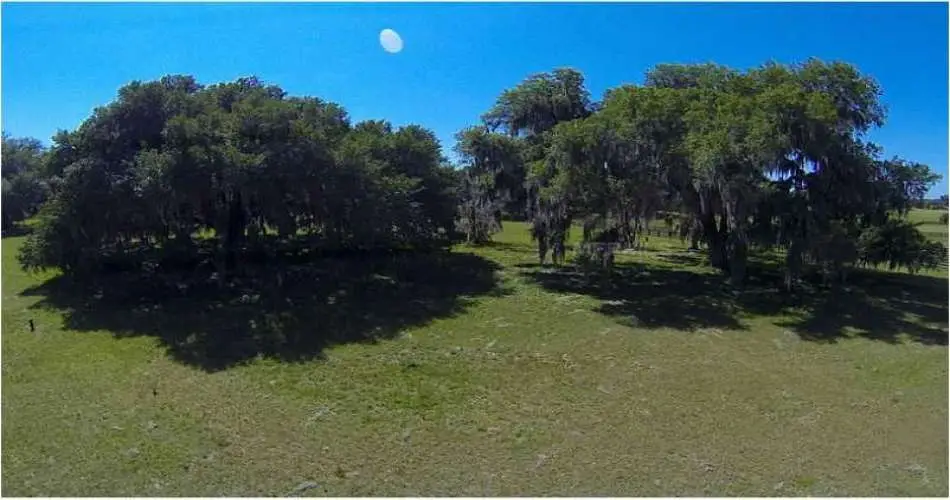 Santa Clarita, Los Angeles, California, United States 91382, ,Vacant land,For sale,T2576032