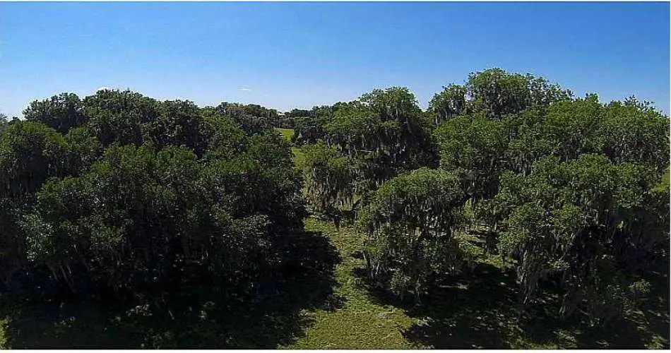 Santa Clarita, Los Angeles, California, United States 91382, ,Vacant land,For sale,T2576032