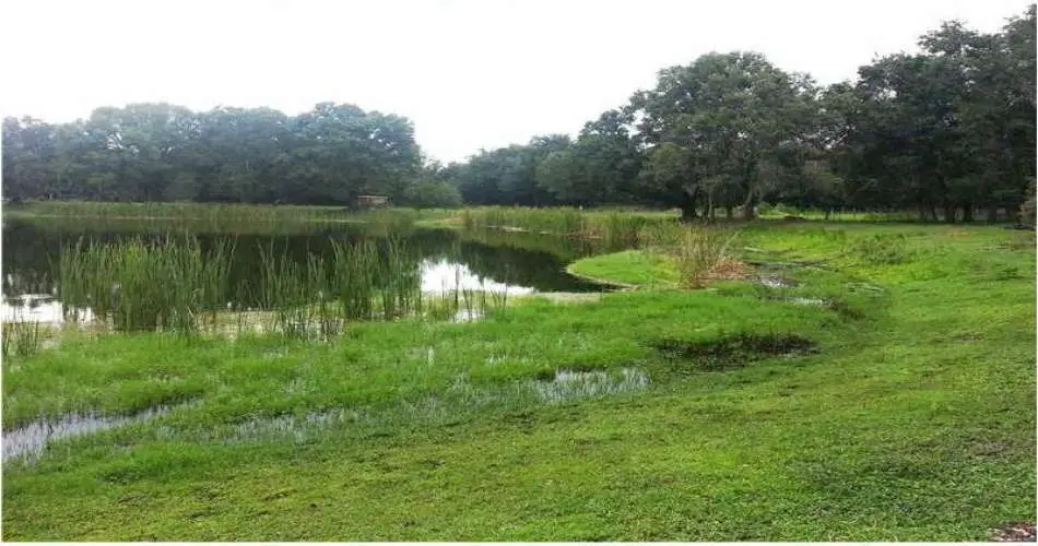 Pasadena, Los Angeles, California 91185, ,Vacant land,For sale,T2587471