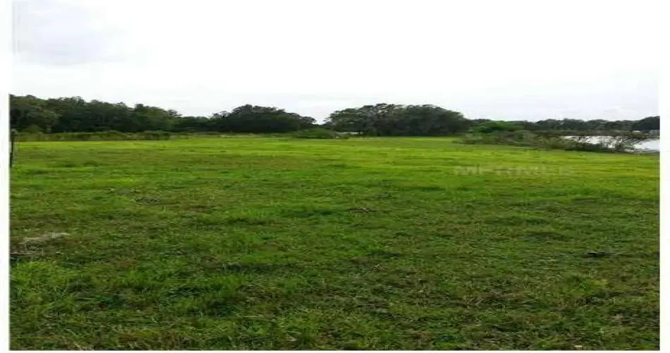 Van Nuys, Los Angeles, California 91409, ,Vacant land,For sale,T2587472