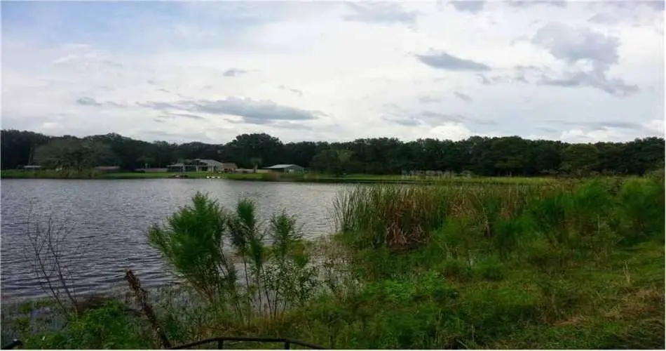 Realtyna, Pasadena, Los Angeles, California 91188, ,Vacant land,For sale,T2587473