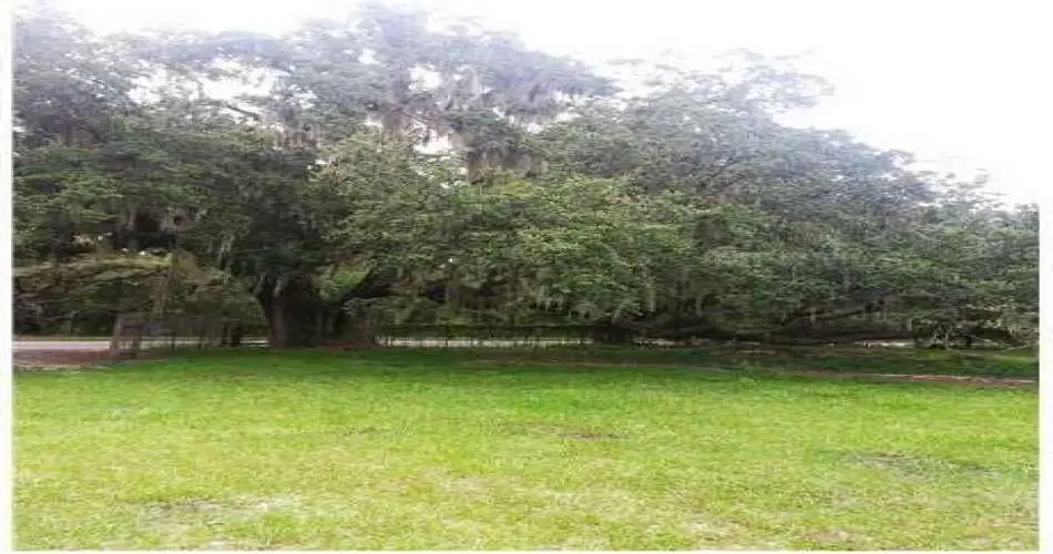 Realtyna, Pasadena, Los Angeles, California 91188, ,Vacant land,For sale,T2587473